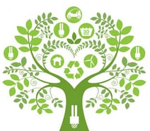 carbon footprint tree