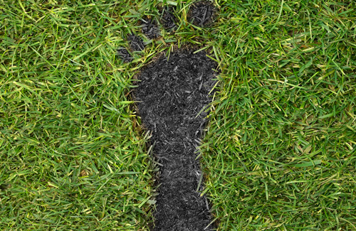 Three Easy Steps to Drastically Lower your Company’s Carbon Output