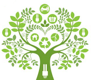 Three High Impact Tech Decisions to Lower your Carbon Footprint