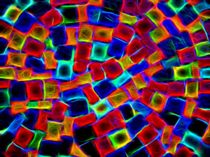 The Big Data Problem that is Choking your Digital Productivity